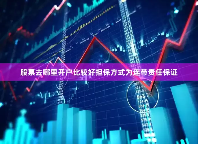 股票去哪里开户比较好担保方式为连带责任保证