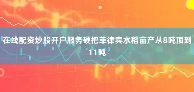 在线配资炒股开户服务硬把菲律宾水稻亩产从8吨顶到11吨
