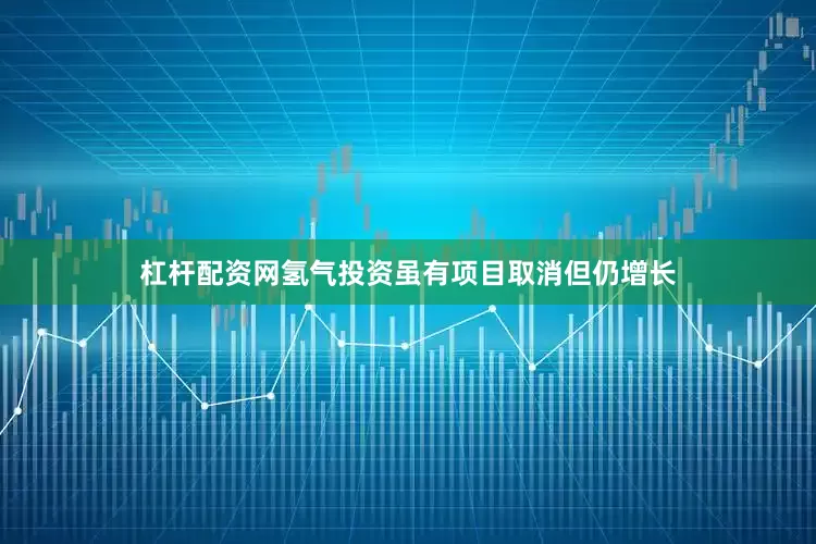 杠杆配资网氢气投资虽有项目取消但仍增长