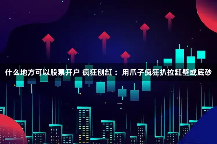 什么地方可以股票开户 疯狂刨缸 ：用爪子疯狂扒拉缸壁或底砂