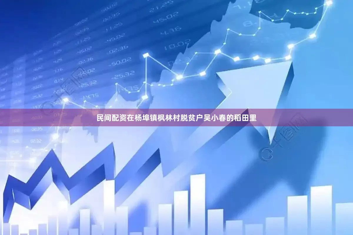 民间配资在杨埠镇枫林村脱贫户吴小春的稻田里